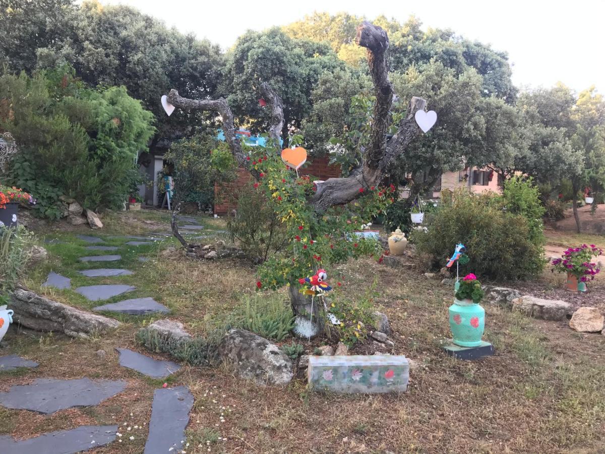 Cabana Jara Y Enebro 科利亚多·比利亚尔瓦 外观 照片